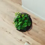 Exklusive Mosel-fewo In - Grosse Dachterrasse - Netflix - Waschmaschine *