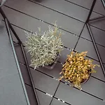 Exklusive Mosel-fewo In - Grosse Dachterrasse - Netflix - Waschmaschine Apartment Senheim