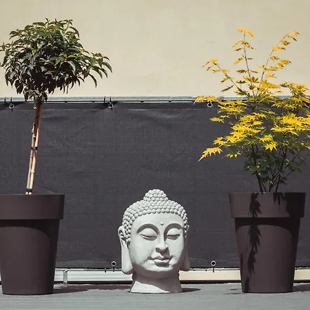 아파트 Exklusive Mosel-fewo In - Grosse Dachterrasse - Netflix - Waschmaschine *