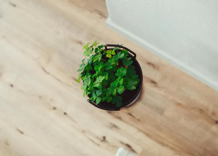 Exklusive Mosel-fewo In - Grosse Dachterrasse - Netflix - Waschmaschine *