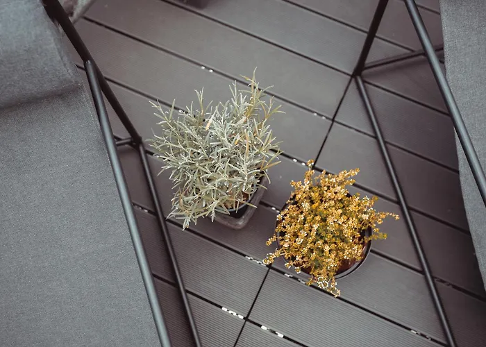 Exklusive Mosel-fewo In - Grosse Dachterrasse - Netflix - Waschmaschine Apartament Senheim