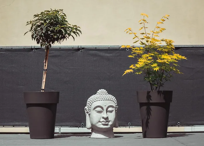 公寓 Exklusive Mosel-fewo In - Grosse Dachterrasse - Netflix - Waschmaschine *